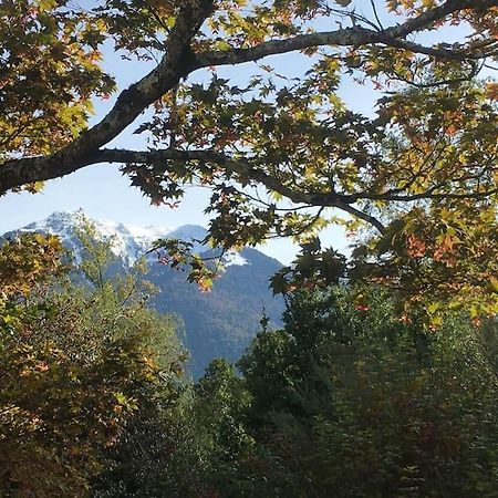 Vila Lerable Pourpre De La Grotte Au Lion Arbon Exteriér fotografie