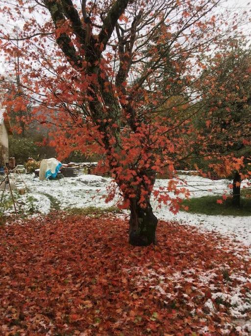 Vila Lerable Pourpre De La Grotte Au Lion Arbon Exteriér fotografie