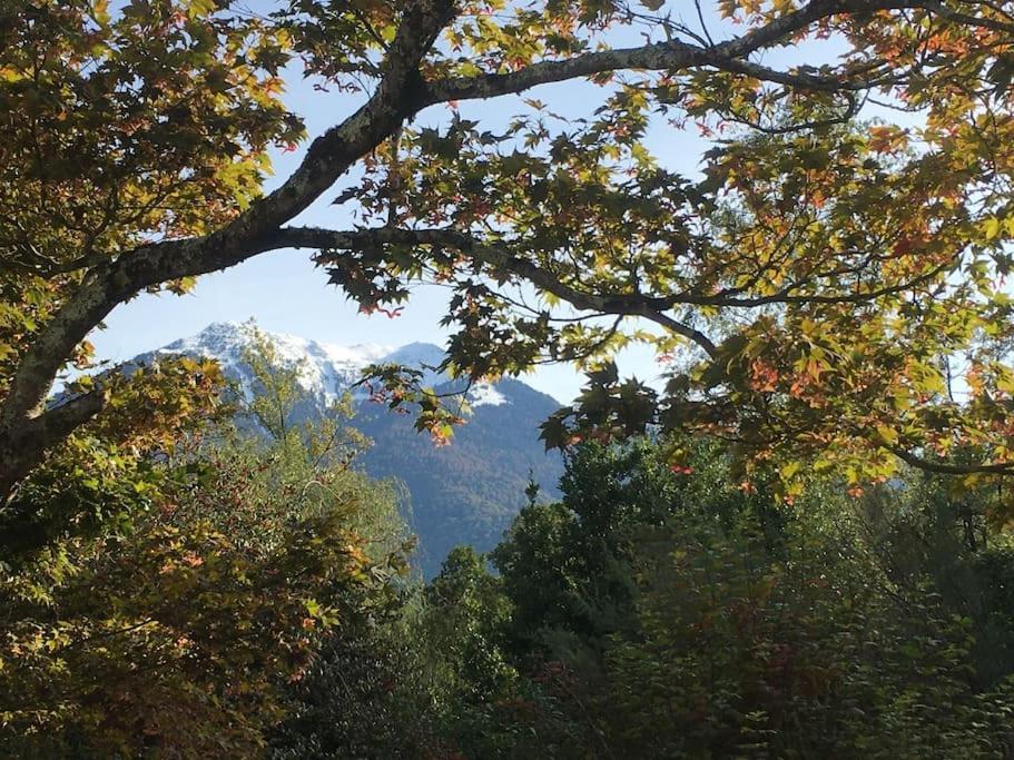 Vila Lerable Pourpre De La Grotte Au Lion Arbon Exteriér fotografie